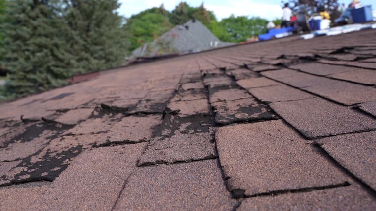Best Asphalt Shingles Roofing  in Millbourne, PA